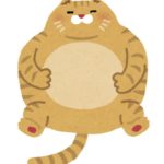 ご飯の腹持ちがいい理由とは？？ダイエットにも効果的なのは本当！？